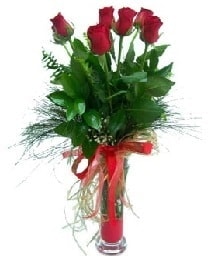 vazo içerisinde 6 kırmızı gül Ankara güvenli kaliteli hızlı çiçek