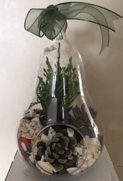 Orta boy armut terrarium 3 kaktüs Ankara güvenli kaliteli hızlı çiçek