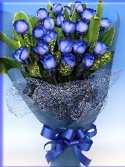 19 adet eşsiz mavi gül buketi Ankara uluslararası çiçek gönderme