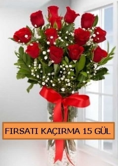 15 İthal kırmızı gül büyük başlı orjinal Ankara Kızılay çiçek siparişi sitesi
