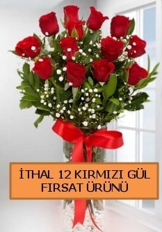 12 İthal kırmızı gül büyük başlı orjinal Ankara Kızılay çiçek siparişi sitesi